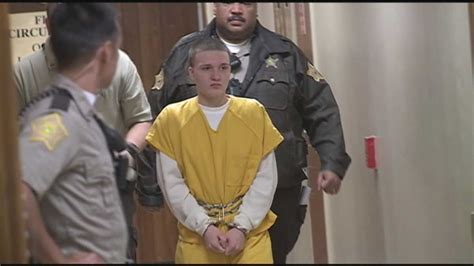 Teen pleads guilty in Albany gun case